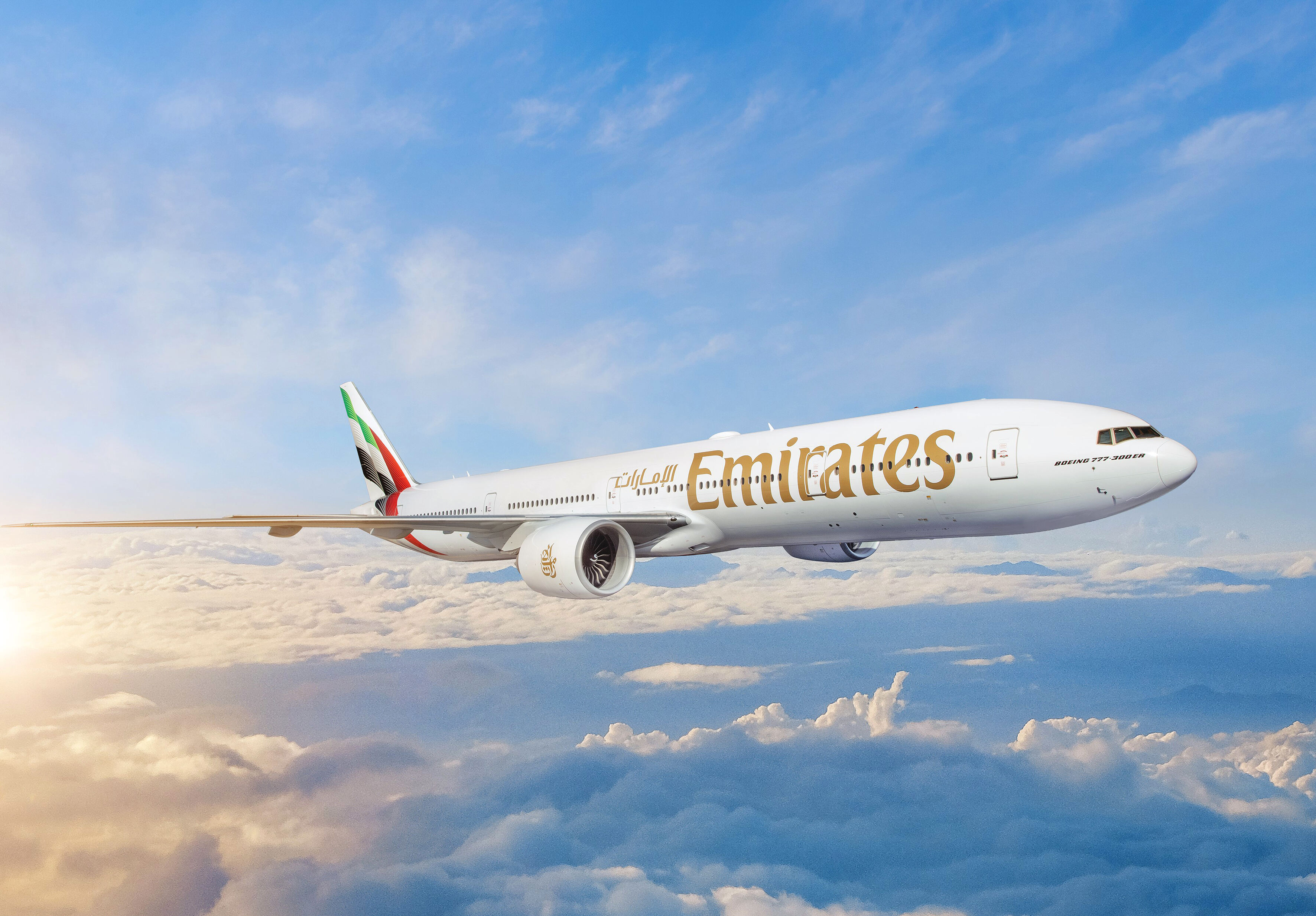 Emirates Airline aircraft in flight
