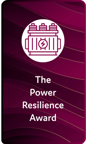 The Power Resilience Award