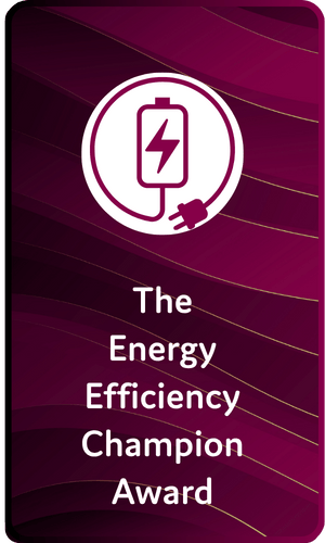 The Energy Efficiency Champion Award