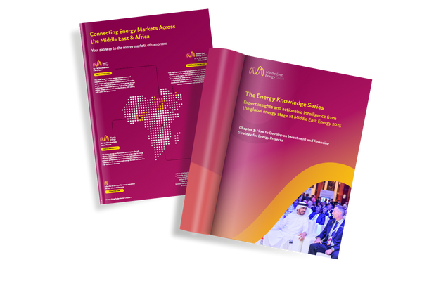 Navigating Renewable Energy Challenges