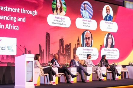 africa business leaders forum