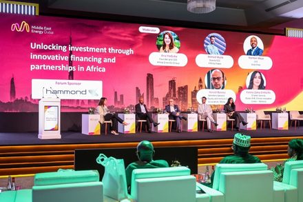 africa business leaders forum