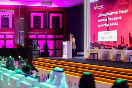 africa business leaders forum